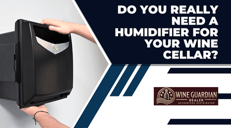 Do You Really Need a Humidifier for Your Wine Cellar? | Wine Guardian Dealer