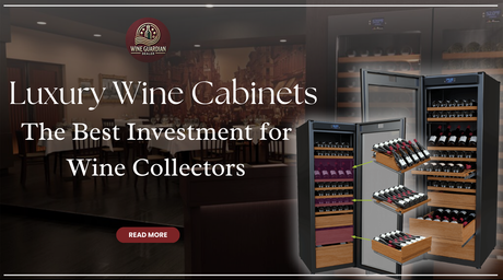 Luxury Wine Cabinets: The Best Investment for Wine Collectors | Wine Guardian Dealer