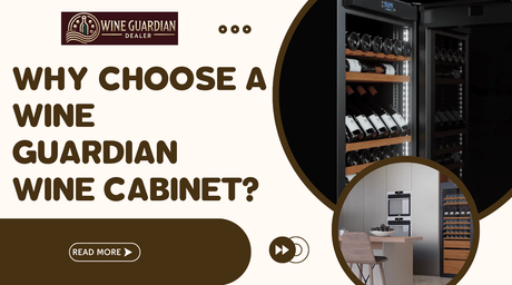 Why Choose a Wine Guardian Wine Cabinet? | Wine Guardian Dealer