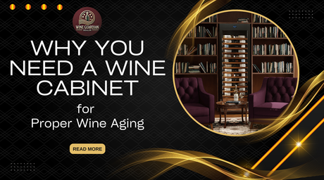 Why You Need a Wine Cabinet for Proper Wine Aging | Wine Guardian Dealer