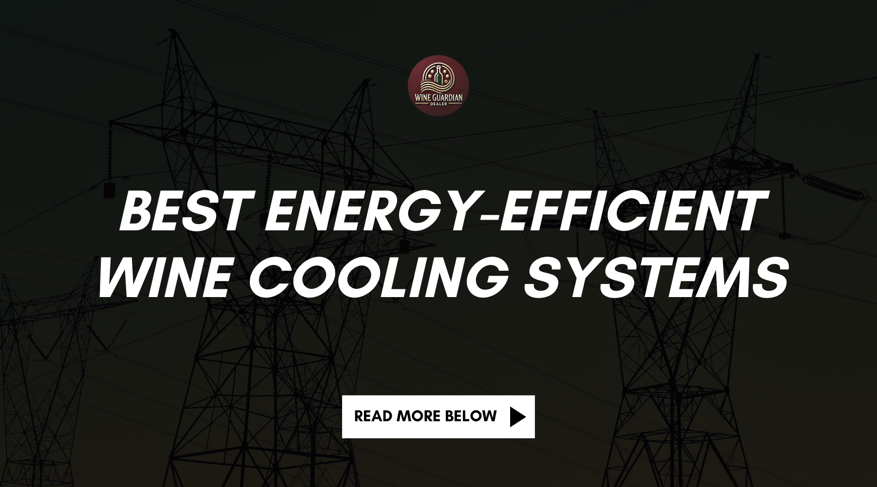 Best Energy-Efficient Wine Cooling Systems | Wine Guardian Dealer