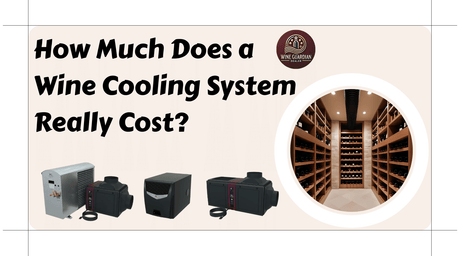 How Much Does a Wine Cooling System Really Cost? | Wine Guardian Dealer