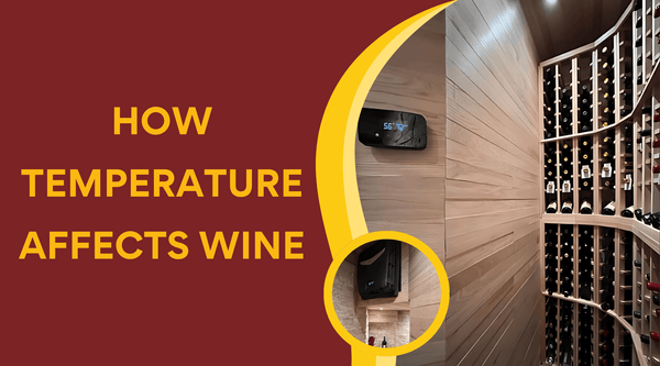 How Temperature Affects Wine: Aging, Flavor and Storage Stability (2026) - Wine Guardian Dealer
