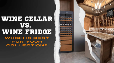 Wine Cellar vs. Wine Fridge: Which is Best for Your Collection? | Wine Guardian Dealer